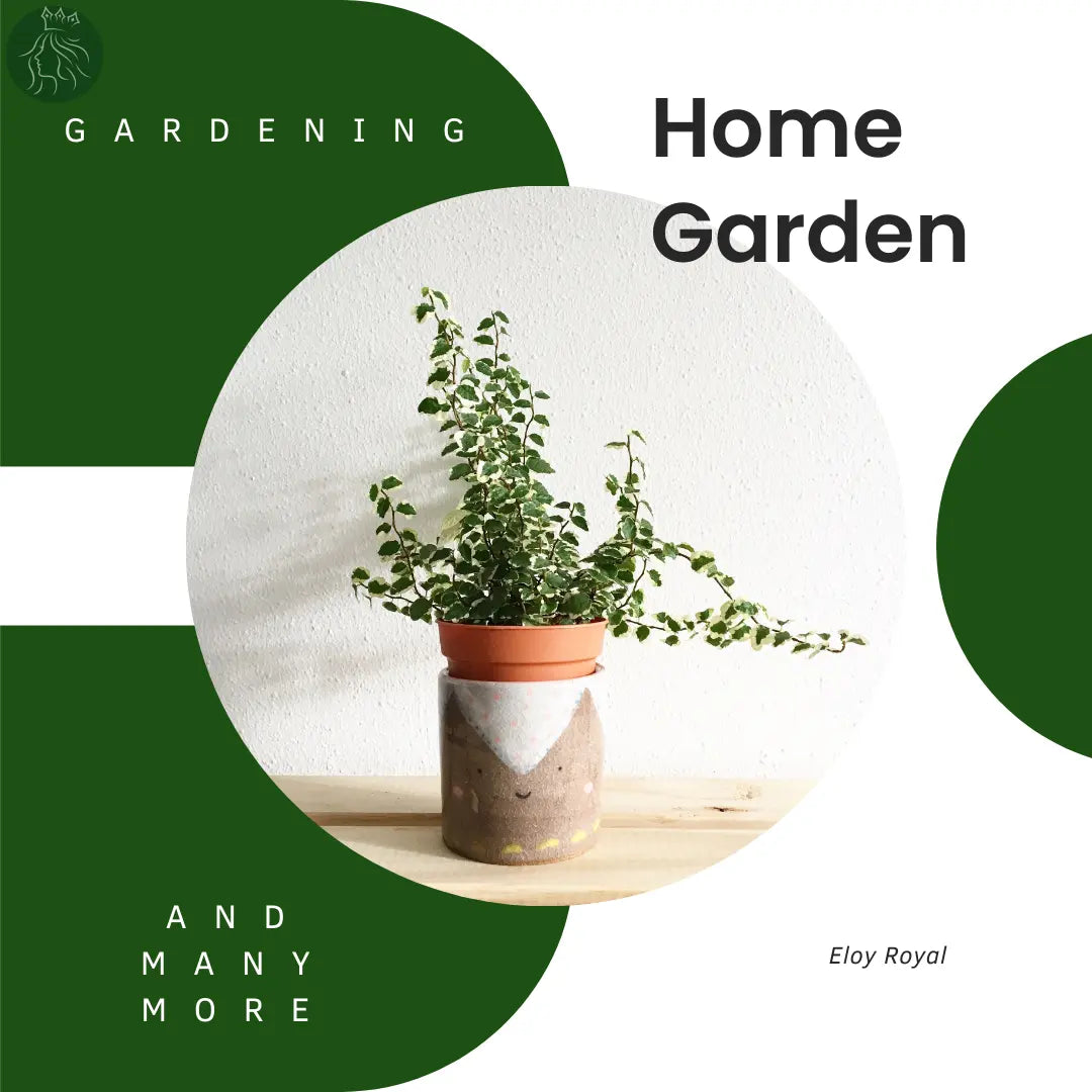 Home-Garden Eloy Royal