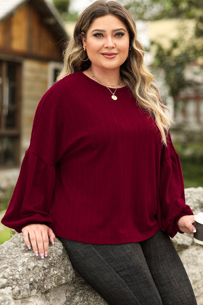 Ruby Plus Size Balloon Sleeve Textured Knit Top - Eloy Royal