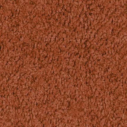 24895379