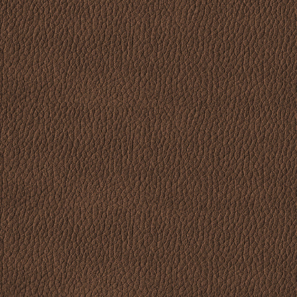 24897669