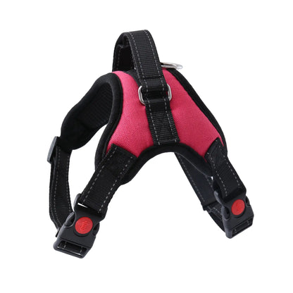 Pet Walking Harness: Adjustable Comfort - Eloy Royal