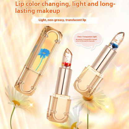 Women's Jelly Warm Flower Square Tube Lipstick