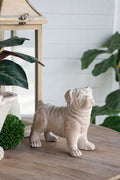 8.5x4.5x8.1' Standing Bulldog Figurine with Natural Beige Finish