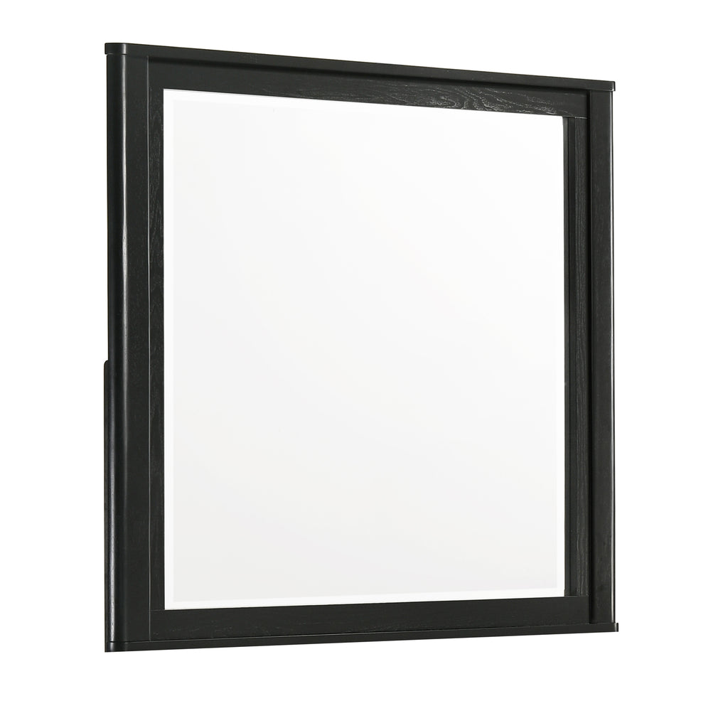 Opel Modern Beveled Bedroom Mirror in Black with Large Rectangular Glass and Deep Frame Profile (Mirror Only)