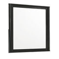 Opel Modern Beveled Bedroom Mirror in Black with Large Rectangular Glass and Deep Frame Profile (Mirror Only)