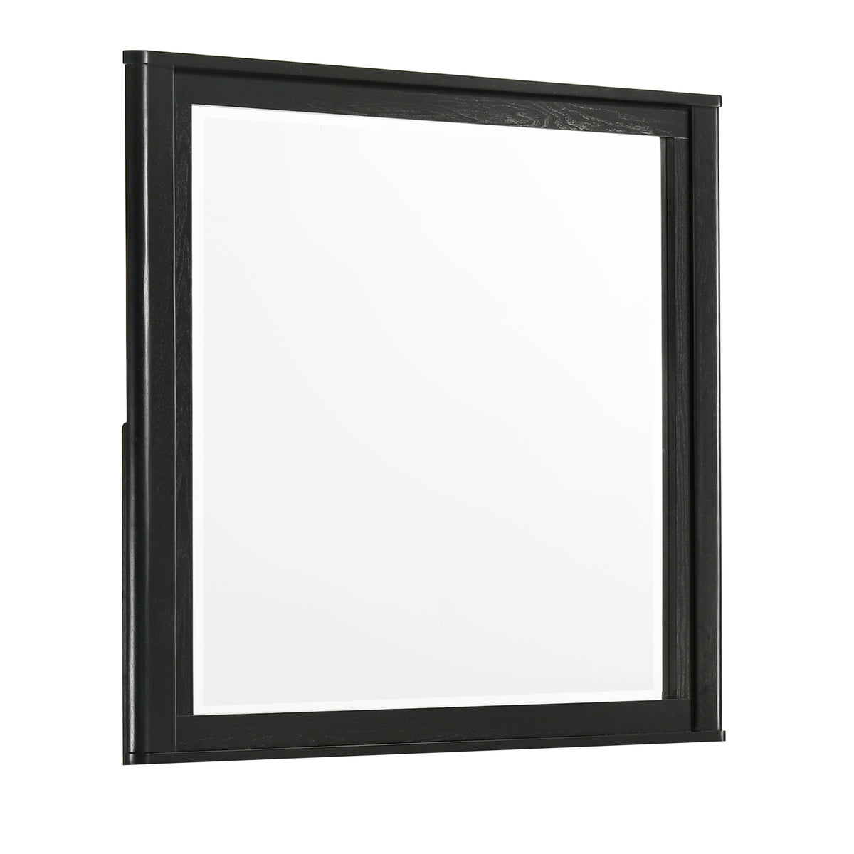 Opel Modern Beveled Bedroom Mirror in Black with Large Rectangular Glass and Deep Frame Profile (Mirror Only)