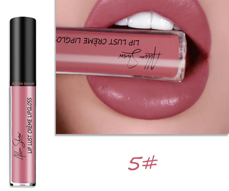 Silky Cream Texture Lip Gloss Aliexpress Shopee Cross-Border Exclusive Lip Glaze Lip Gloss Lipstick