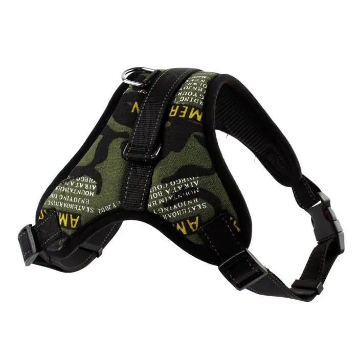 Pet Walking Harness: Adjustable Comfort - Eloy Royal