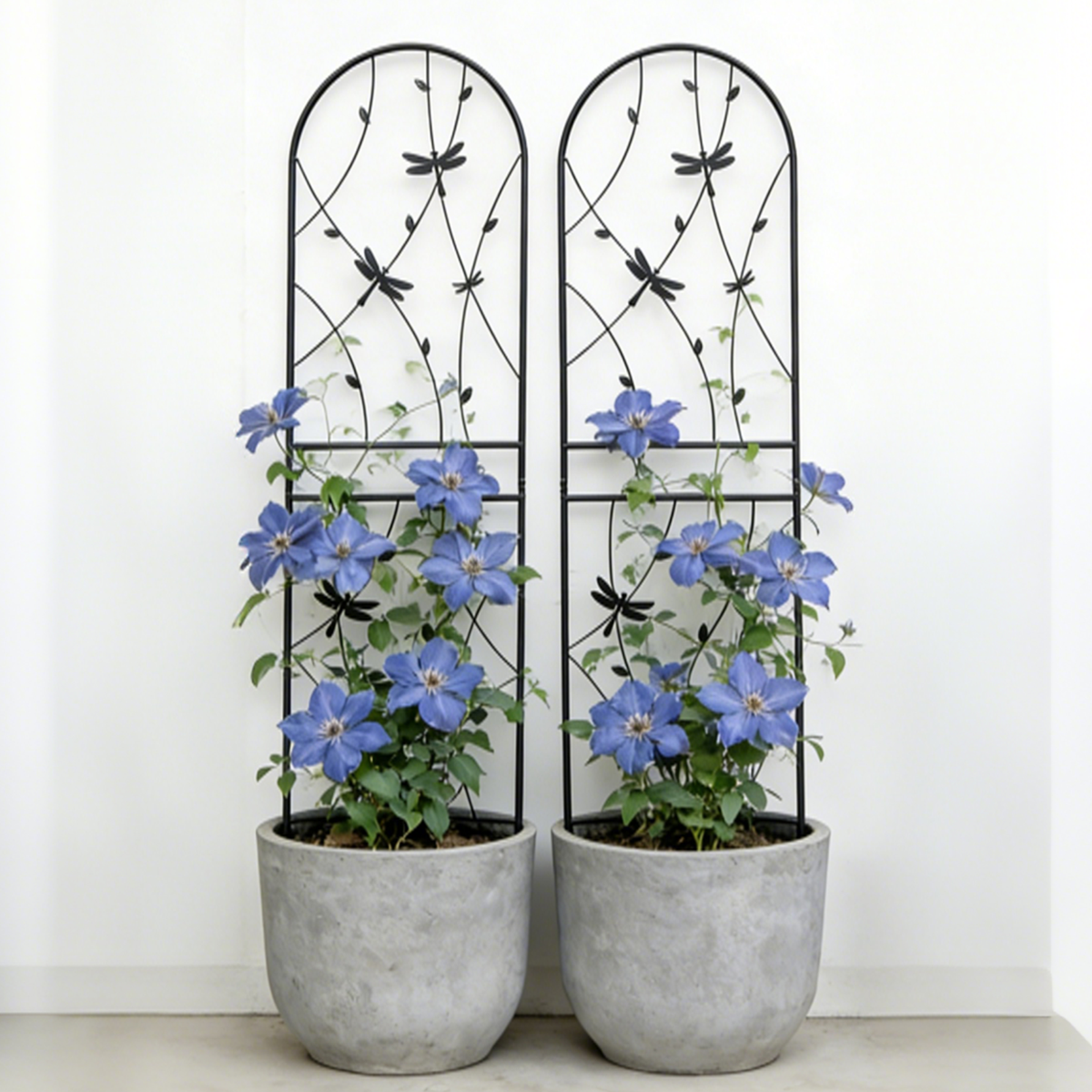 2 Pack Metal Garden Trellis 71' x 19.7' Rustproof Trellis for Climbing Plants Outdoor Flower Support Dragonfly Deco Black