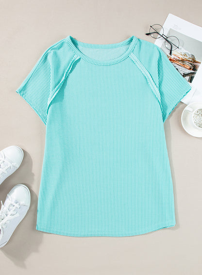 Light Blue Ribbed Exposed Seam Casual Plus Size T Shirt - Eloy Royal