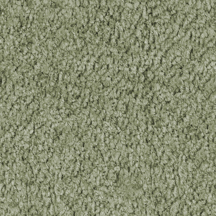 24895029