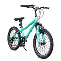 20 Inch Mountain Bike, 7-Speed Adult Dual-Suspension Mountain Bicycle with Sturdy Steel Frame, Excellent Twist Shifting, Dual Handbrake & Adjustable Seat for Men Women