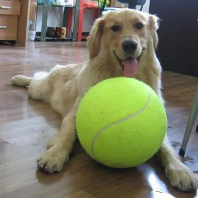 24CM Giant Tennis Ball For Dog Chew Toy Big Inflatable Tennis Ball Pet Dog Interactive Toys Pet Supplies Outdoor Cricket Dog Toy - Eloy Royal