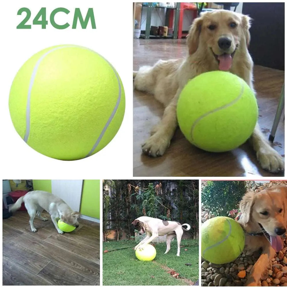 24CM Giant Tennis Ball For Dog Chew Toy Big Inflatable Tennis Ball Pet Dog Interactive Toys Pet Supplies Outdoor Cricket Dog Toy - Eloy Royal