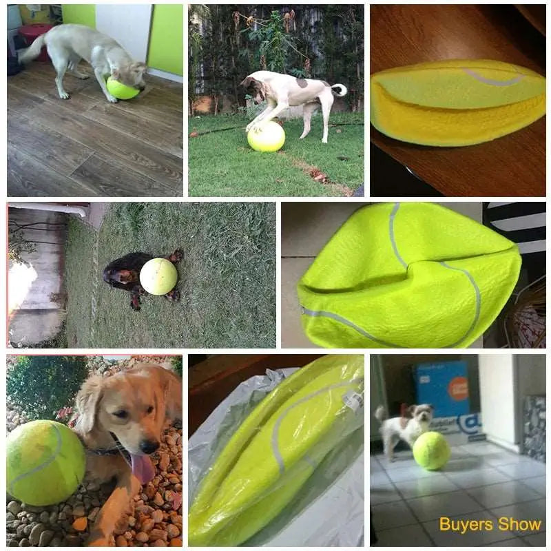 24CM Giant Tennis Ball For Dog Chew Toy Big Inflatable Tennis Ball Pet Dog Interactive Toys Pet Supplies Outdoor Cricket Dog Toy - Eloy Royal