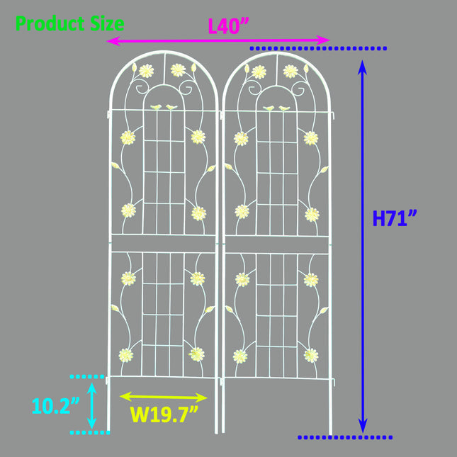 24647038.0