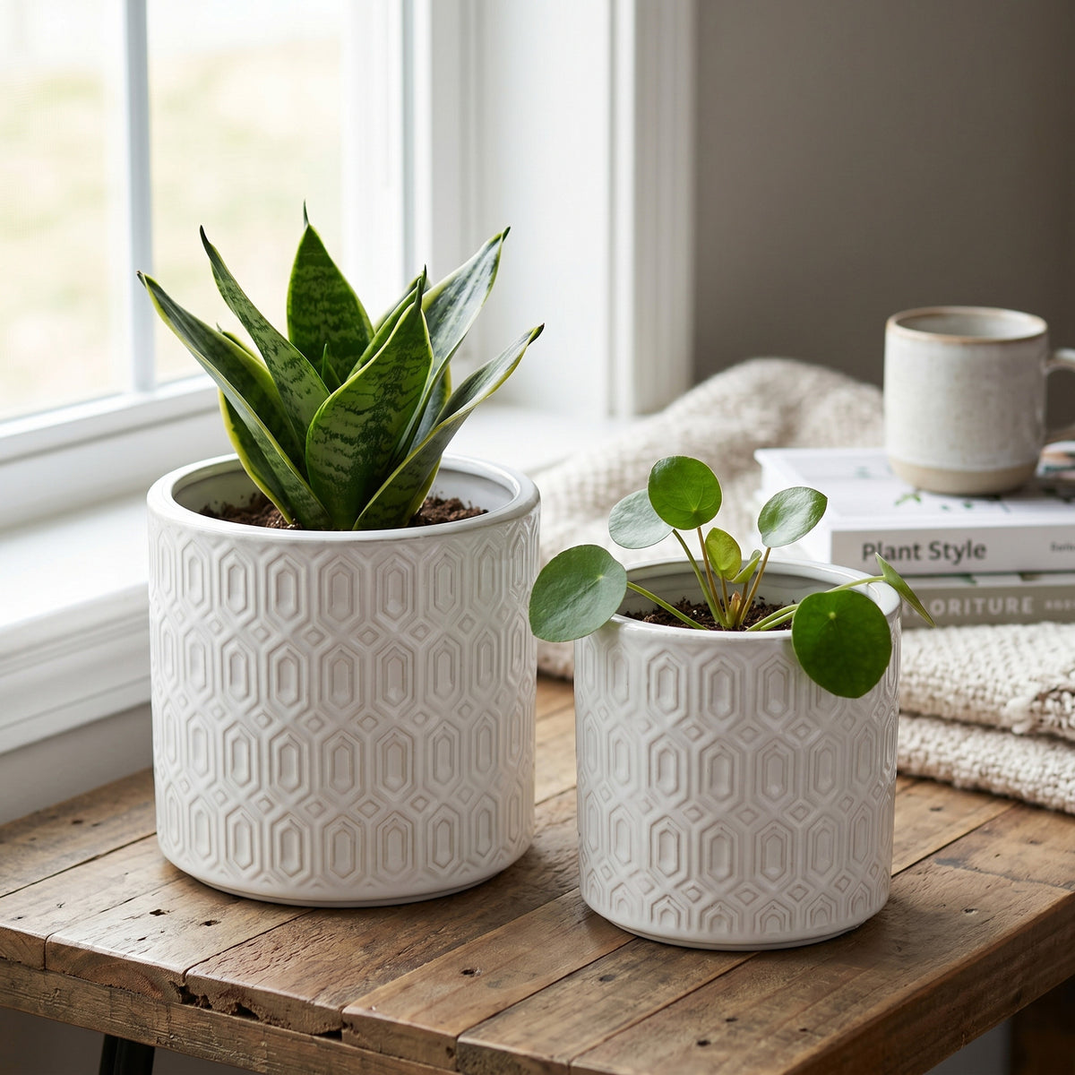 S/2 White Ceramic Planters with Geometric Motifs