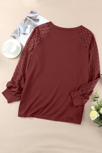 Strawberry Pink Plus Size Contrast Lace Sleeve Waffle Knit Top - Eloy Royal