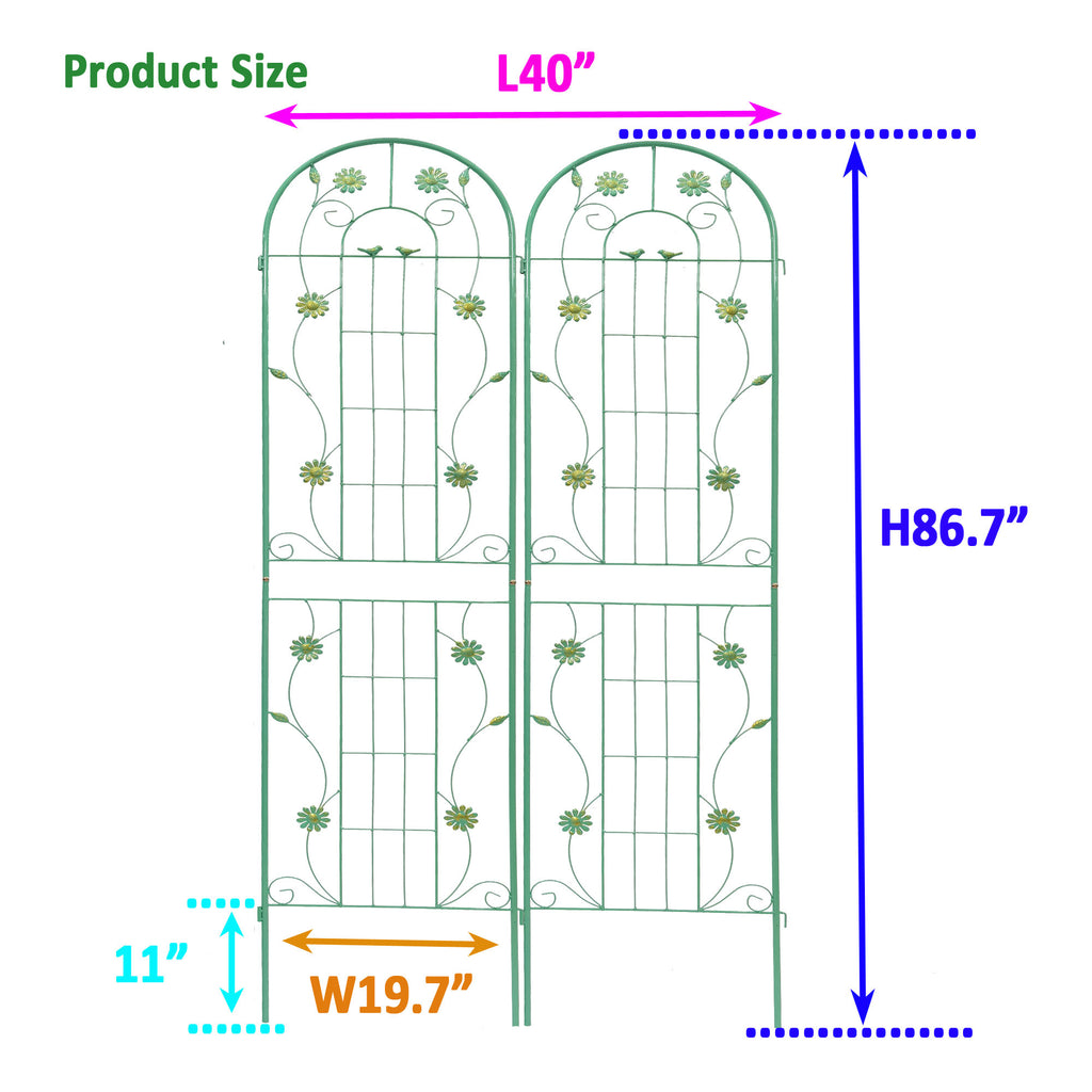 26544570