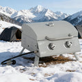 21.75' Portable Grill with 2 Burners Camping  Charcoal BBQ