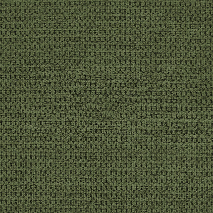 24895019