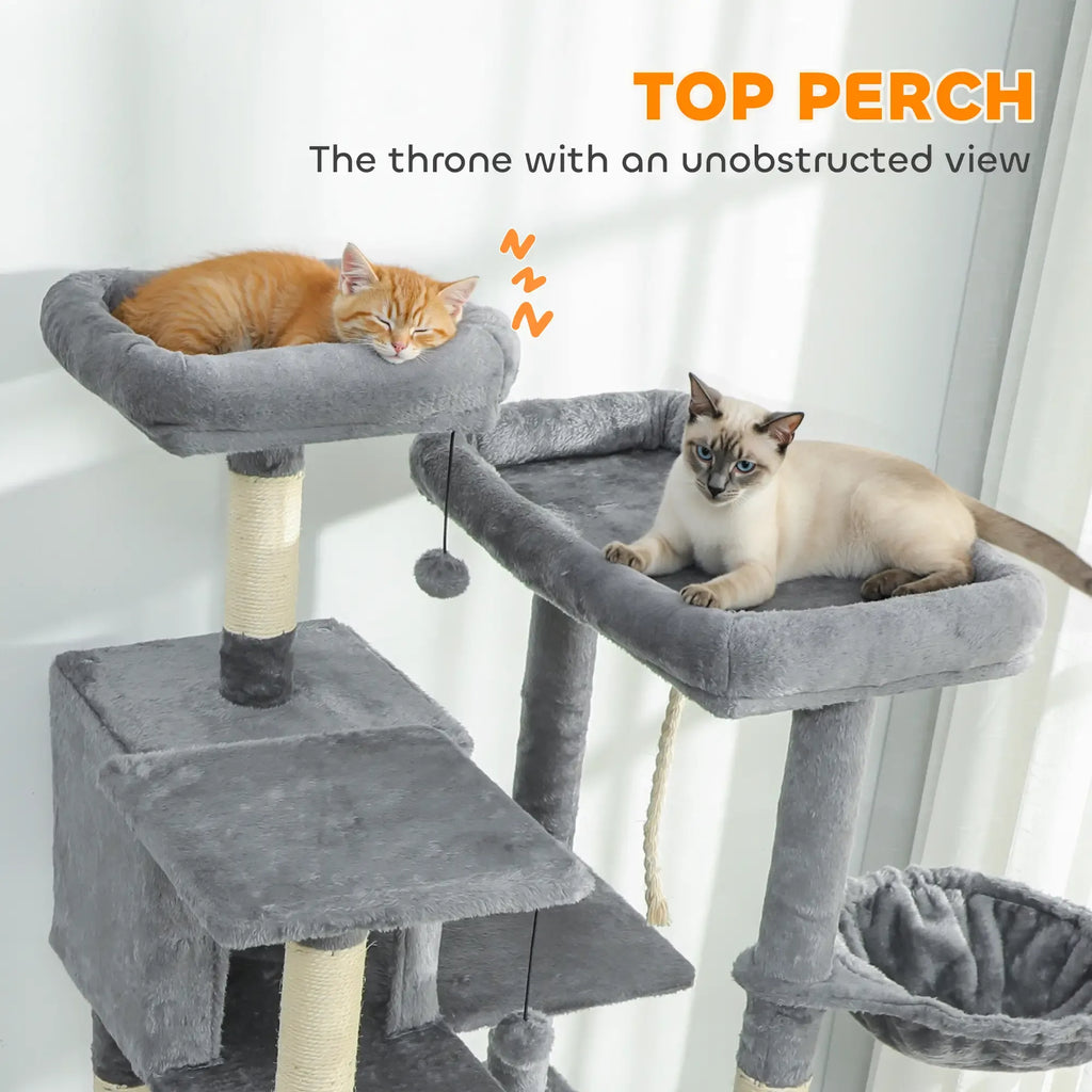 26297416
