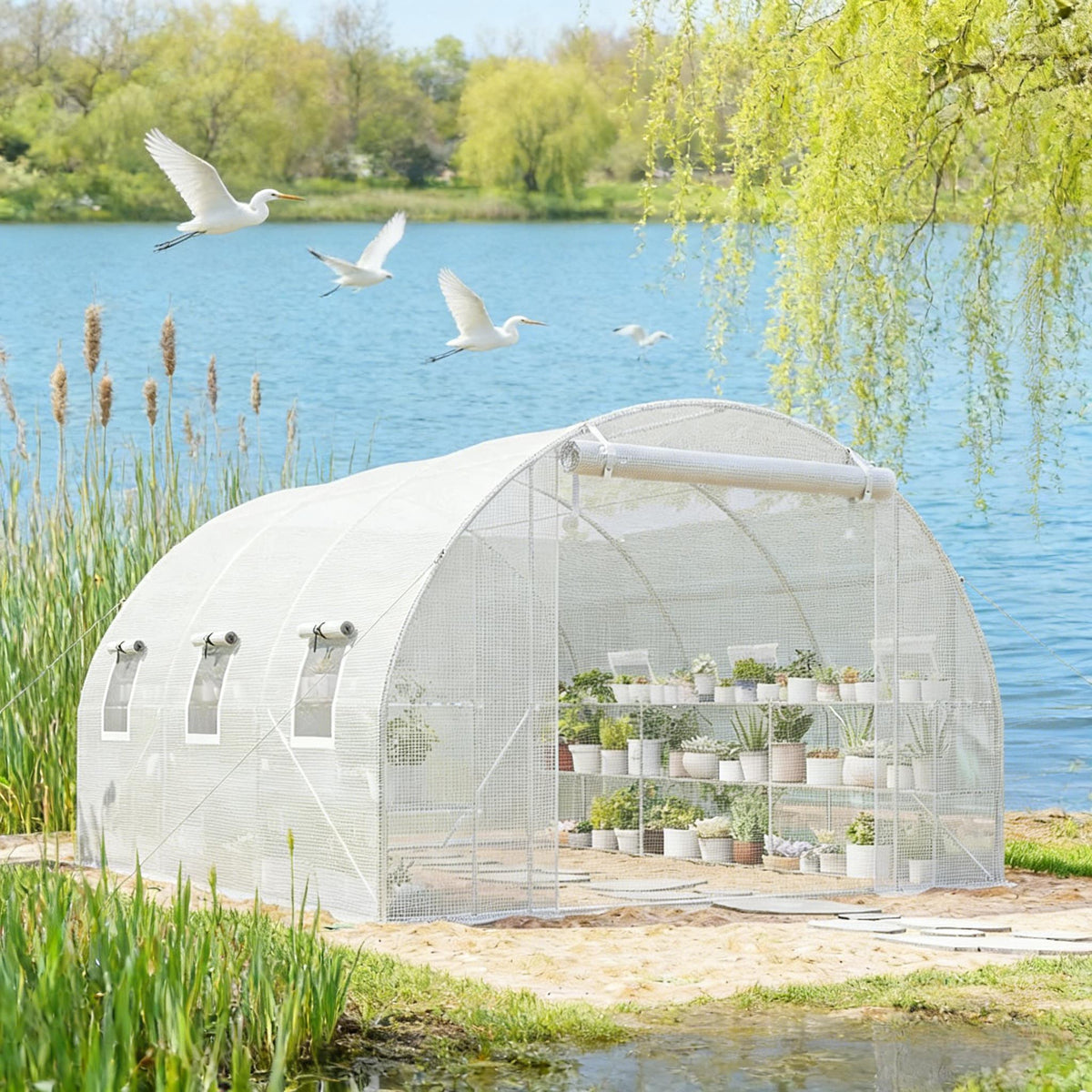 Outdoor Hoop House Greenhouse With Shelves,Walk-in Tunnel Greenhouse