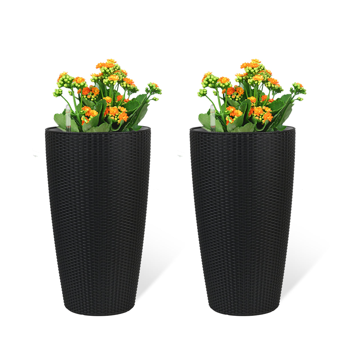 26543763