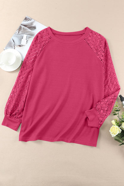 Strawberry Pink Plus Size Contrast Lace Sleeve Waffle Knit Top - Eloy Royal