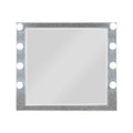 Sliverfluff Mirrored & Champagne Finish Mirror with Light and Acrylic Accents