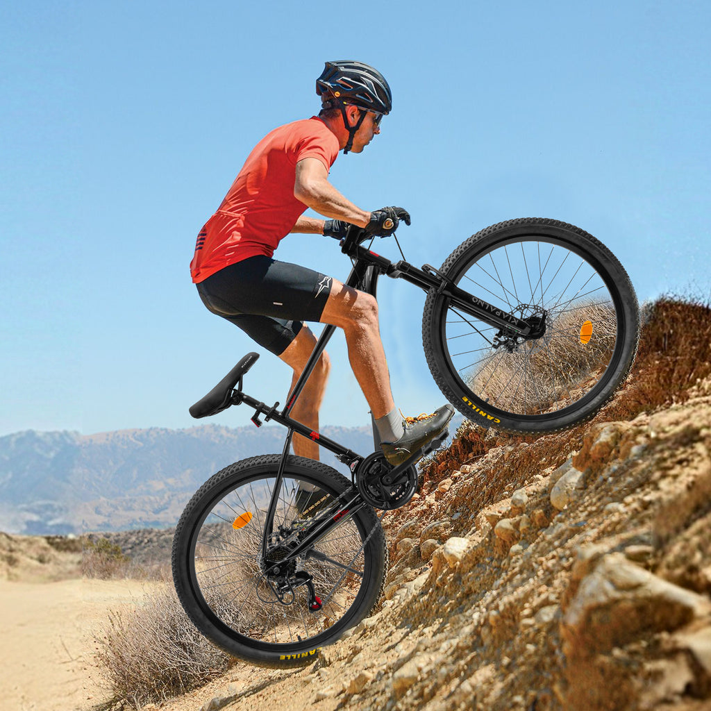 26300666