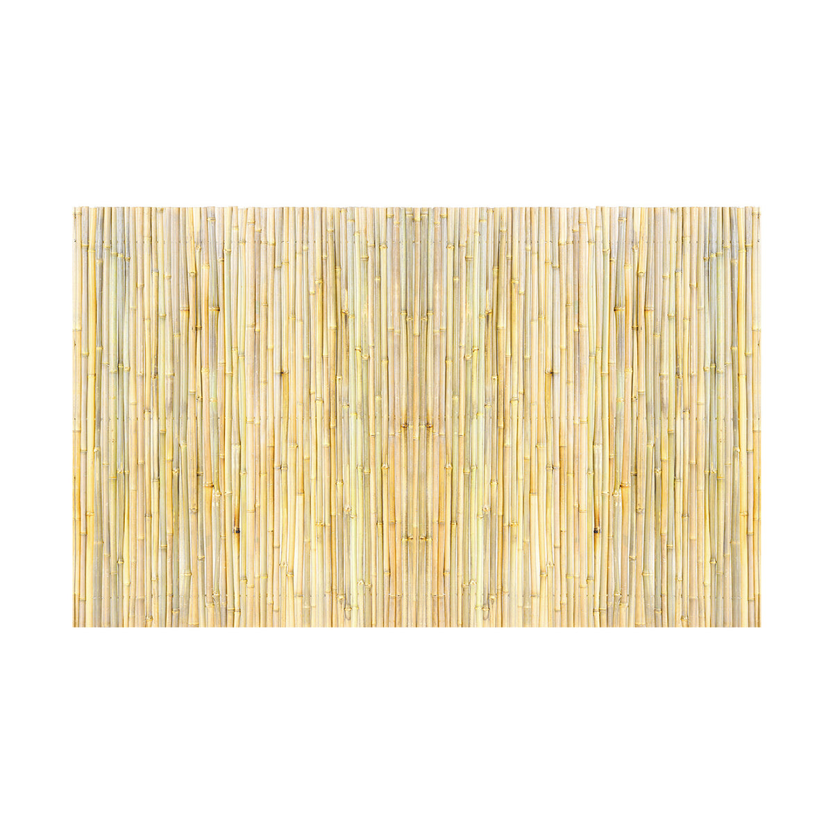 Natural Rolled Bamboo Fence Bamboo Panel 4 ft H x 8 ft L x 0.75 in D.