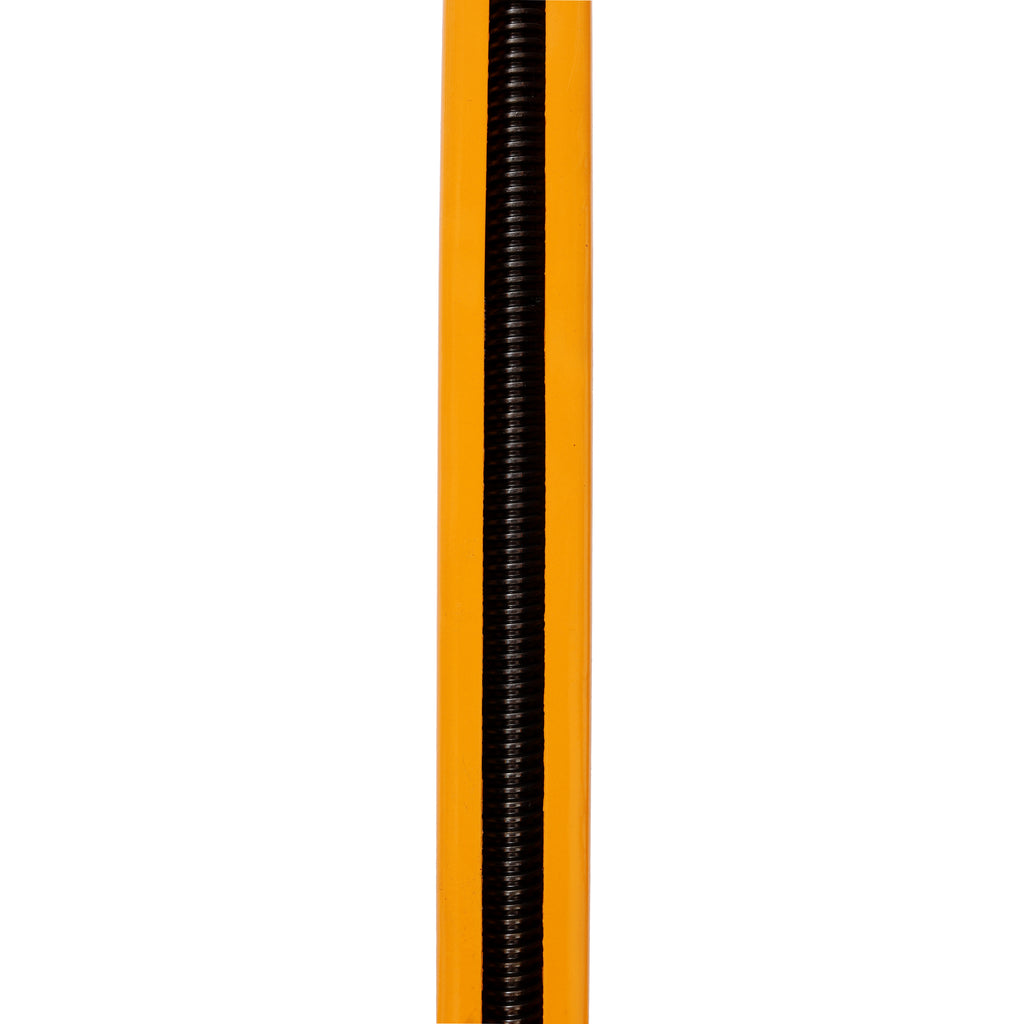 26293719