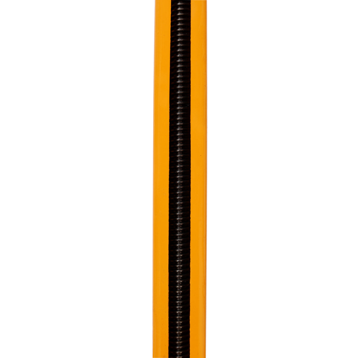 26293719