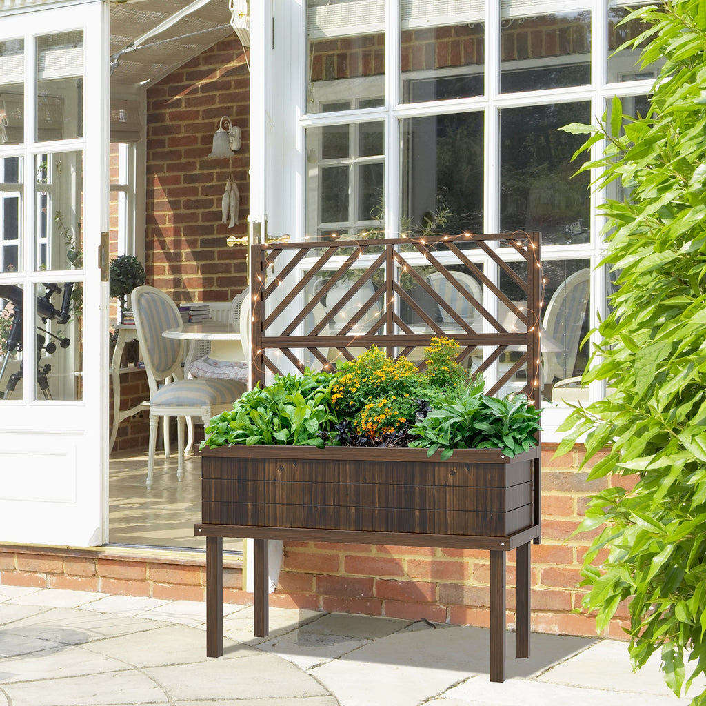 26544258
