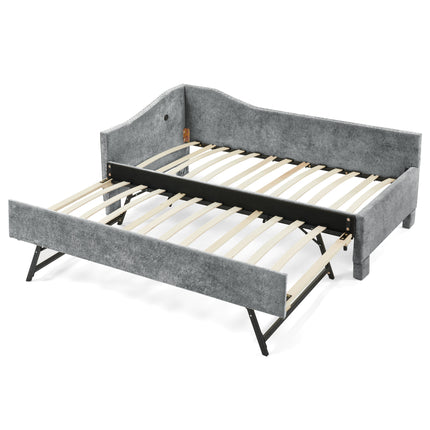 24785562