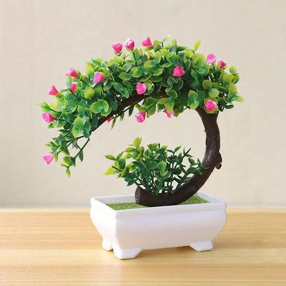 Small Bonsai Tree - Eloy Royal