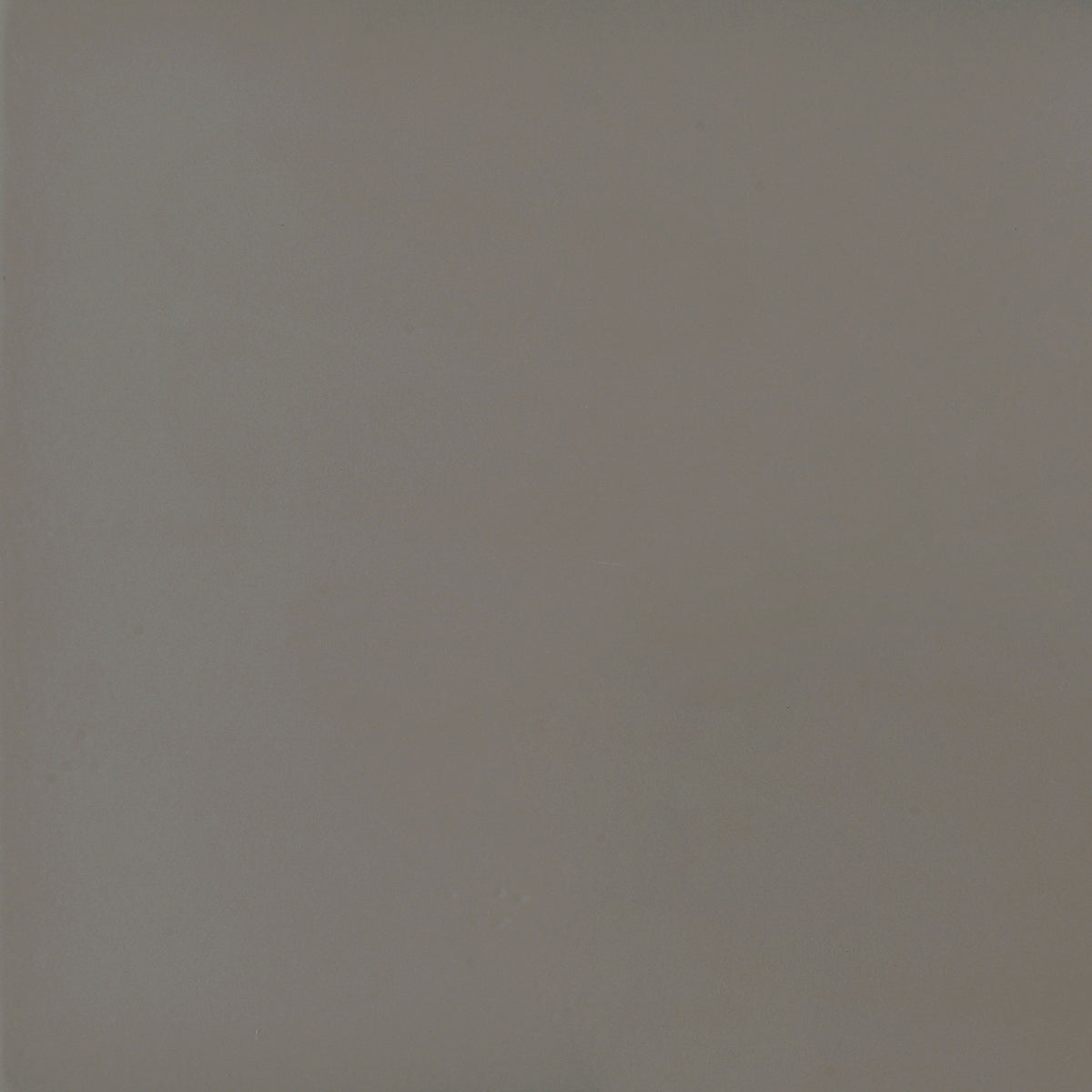 26291574