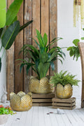 Set of 3 Metal Planter Distressed, L:17.7x17.7x11' M:15x15x10.2' S:11.5x11.5x10'
