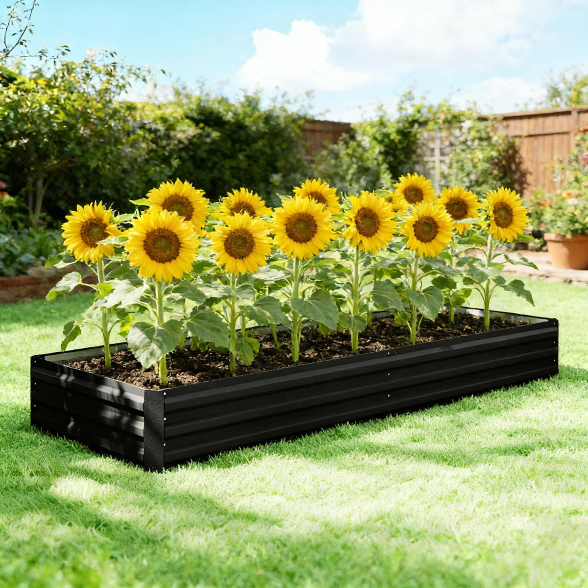 Flowers Box,Succulents Box,Raised Garden Bed