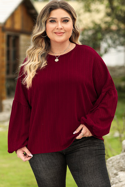 Ruby Plus Size Balloon Sleeve Textured Knit Top - Eloy Royal