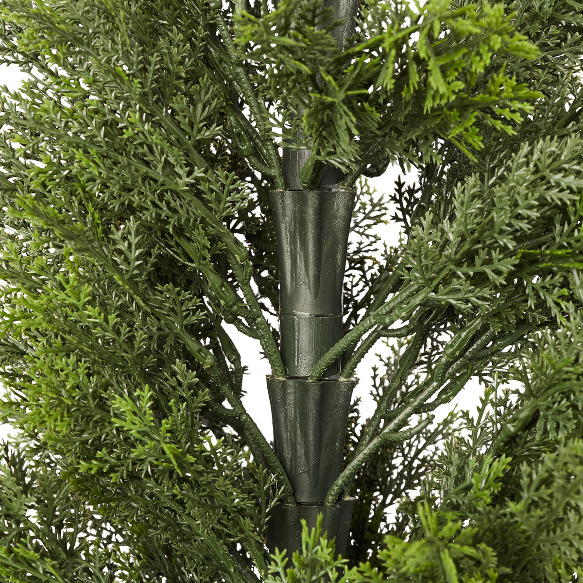 26281518