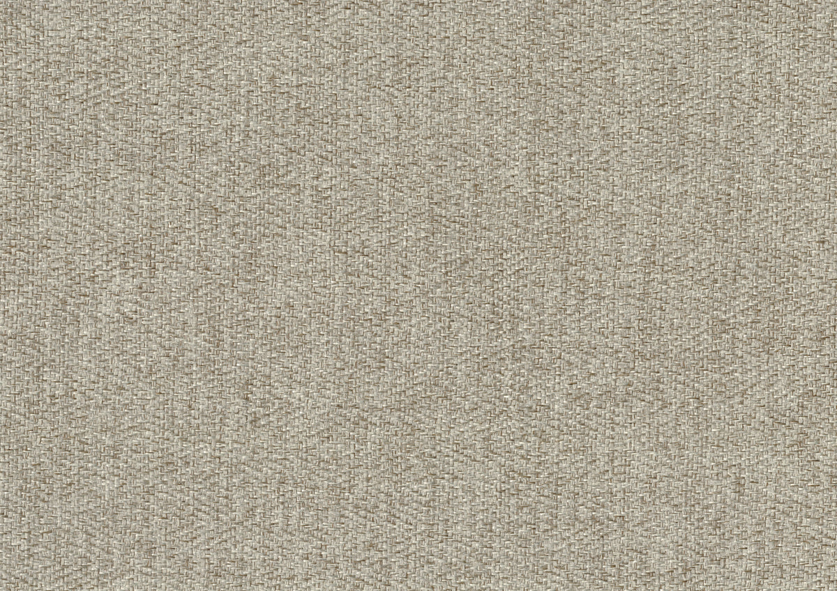26403469