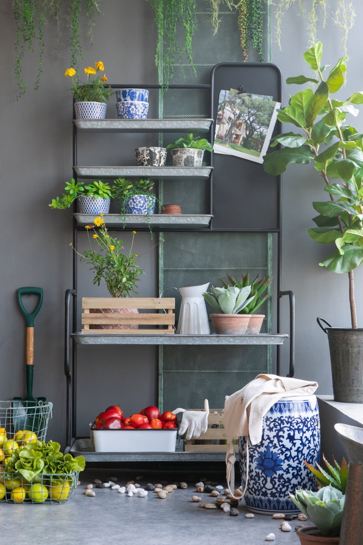 36x18.5x70' Rustic Metal Storage Shelf, Outdoor Plant Shelf