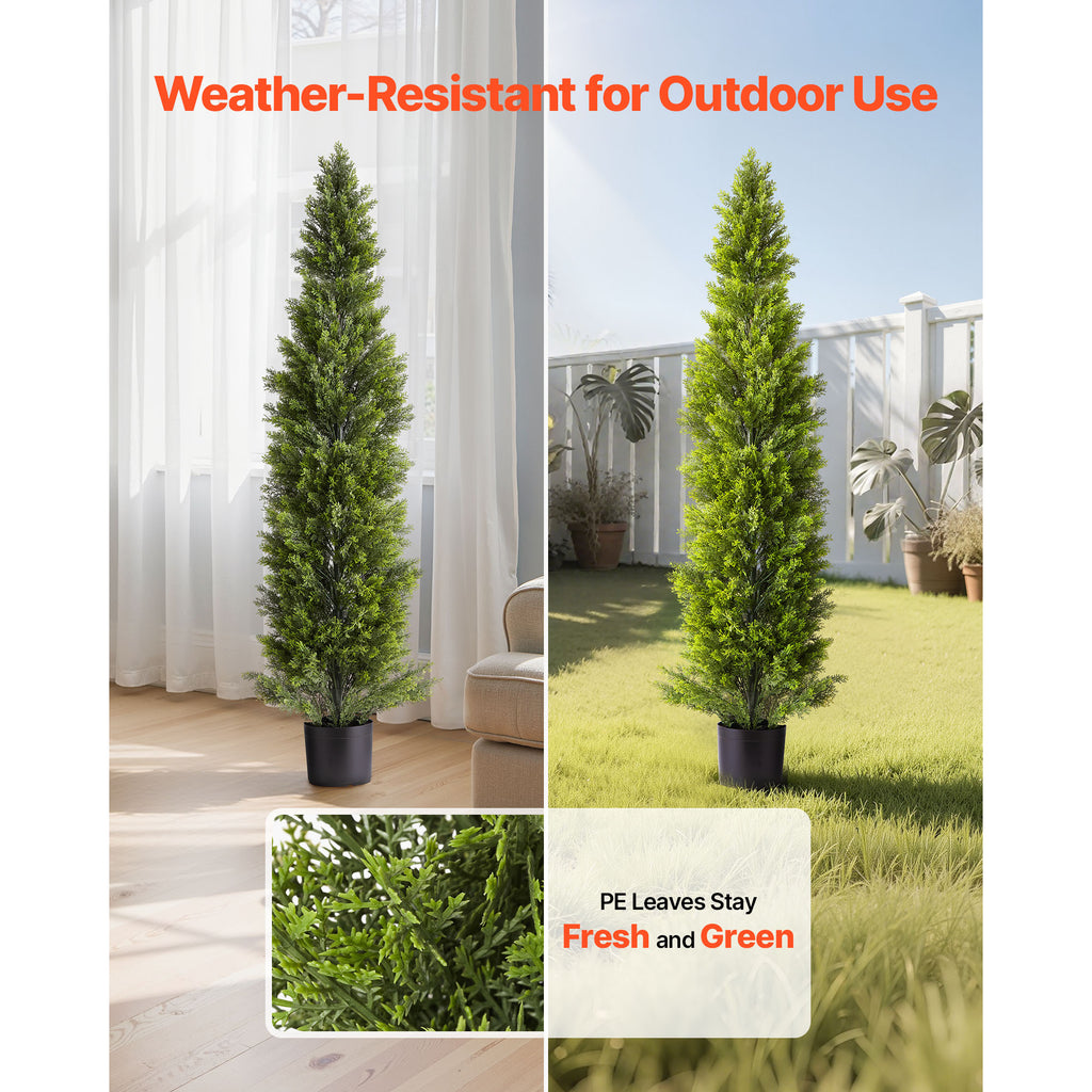 26281520