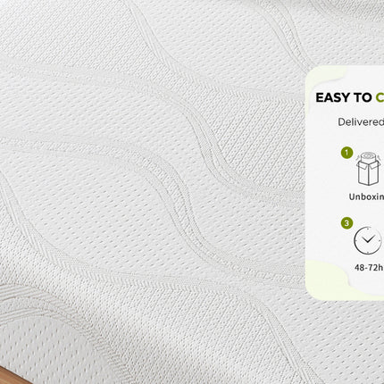 24736538