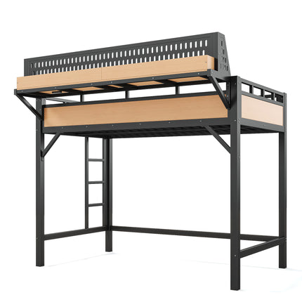 24889662