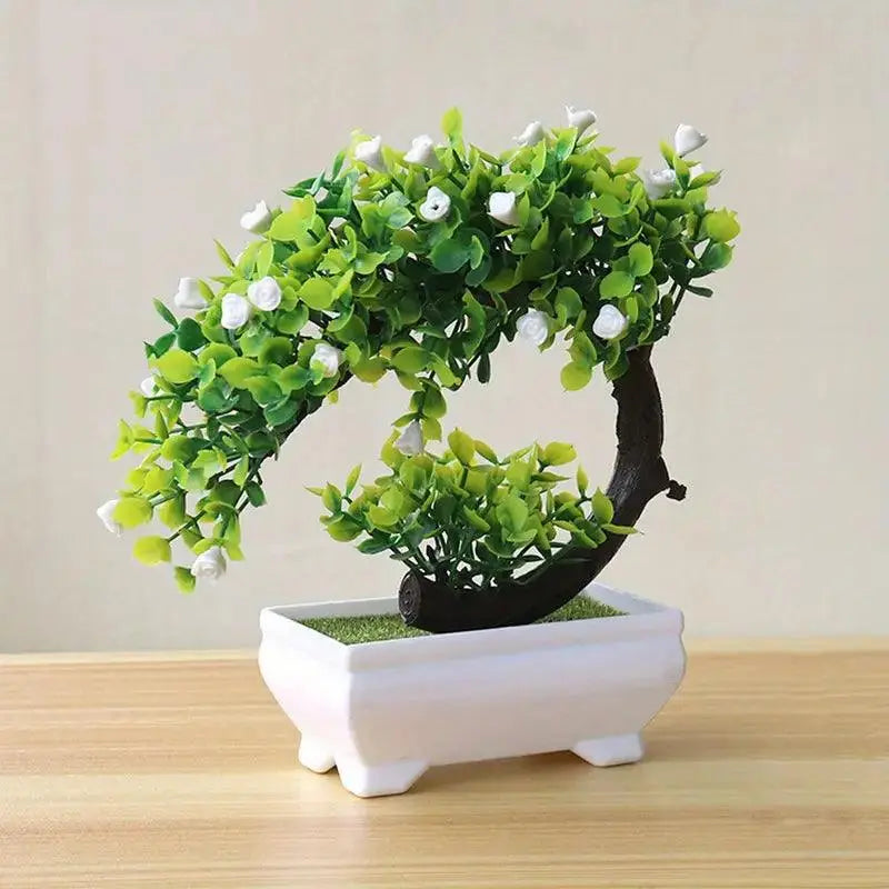 Small Bonsai Tree - Eloy Royal