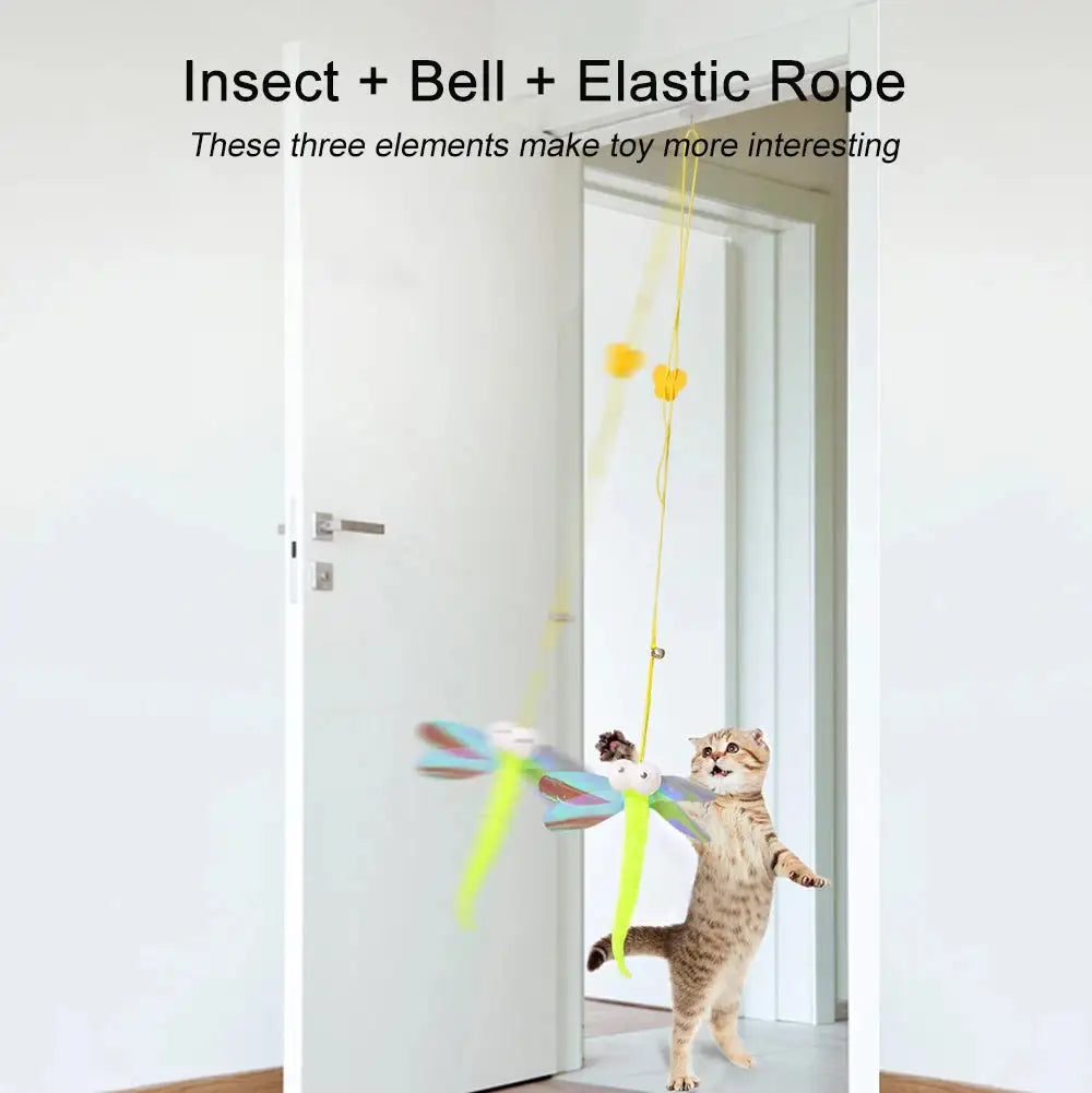 Swinging Toys for Cats - Eloy Royal