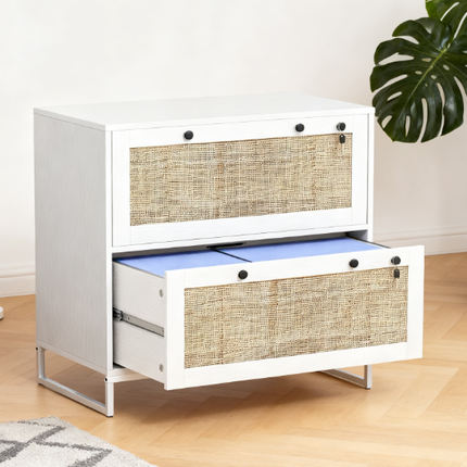 2 Drawer File Cabinet with Adjustable Hanging Bar for Letter,Lockable Filing Cabinet